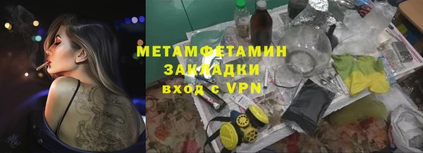 шишки Надым